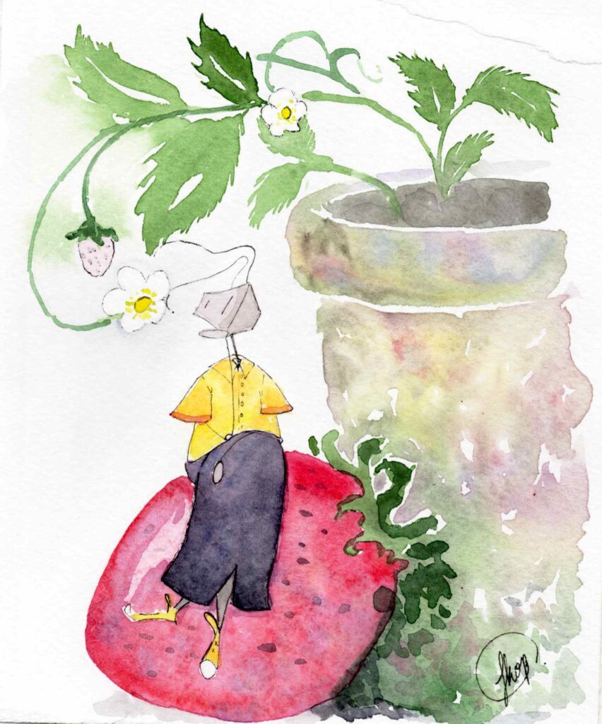 strawberry bot
